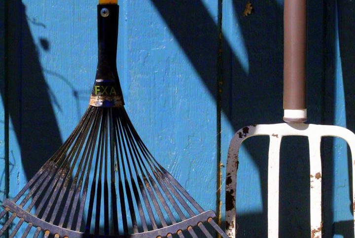 Gartenwerkzeug Harke und Gartenforke vor einer blauen Wand, Schatten fallen darauf.