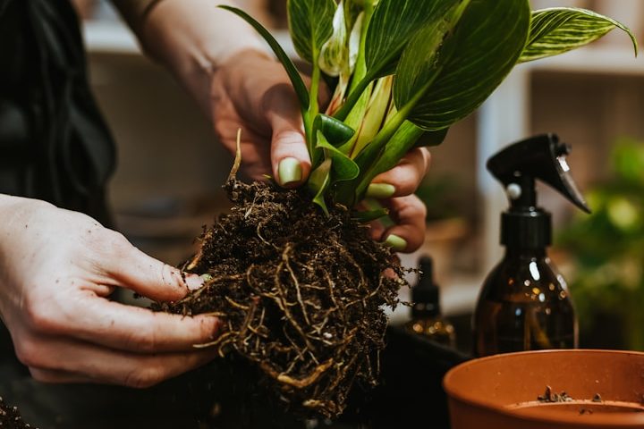 Ein Kind liegt auf dem grünen Gras und spielt, mit den Füßen in die Luft gestreckt.